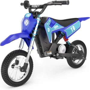 Hiboy 36V&300W Electric Motorcycle