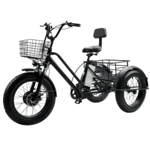 Topteng  Electric Snow Tricycle 3
