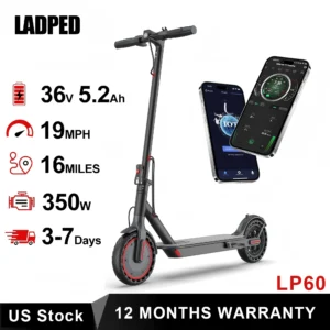 LP60 Electric Scooter 350W