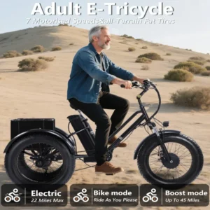 Electric Tricycle for Adults,
